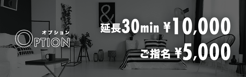 オプション料金